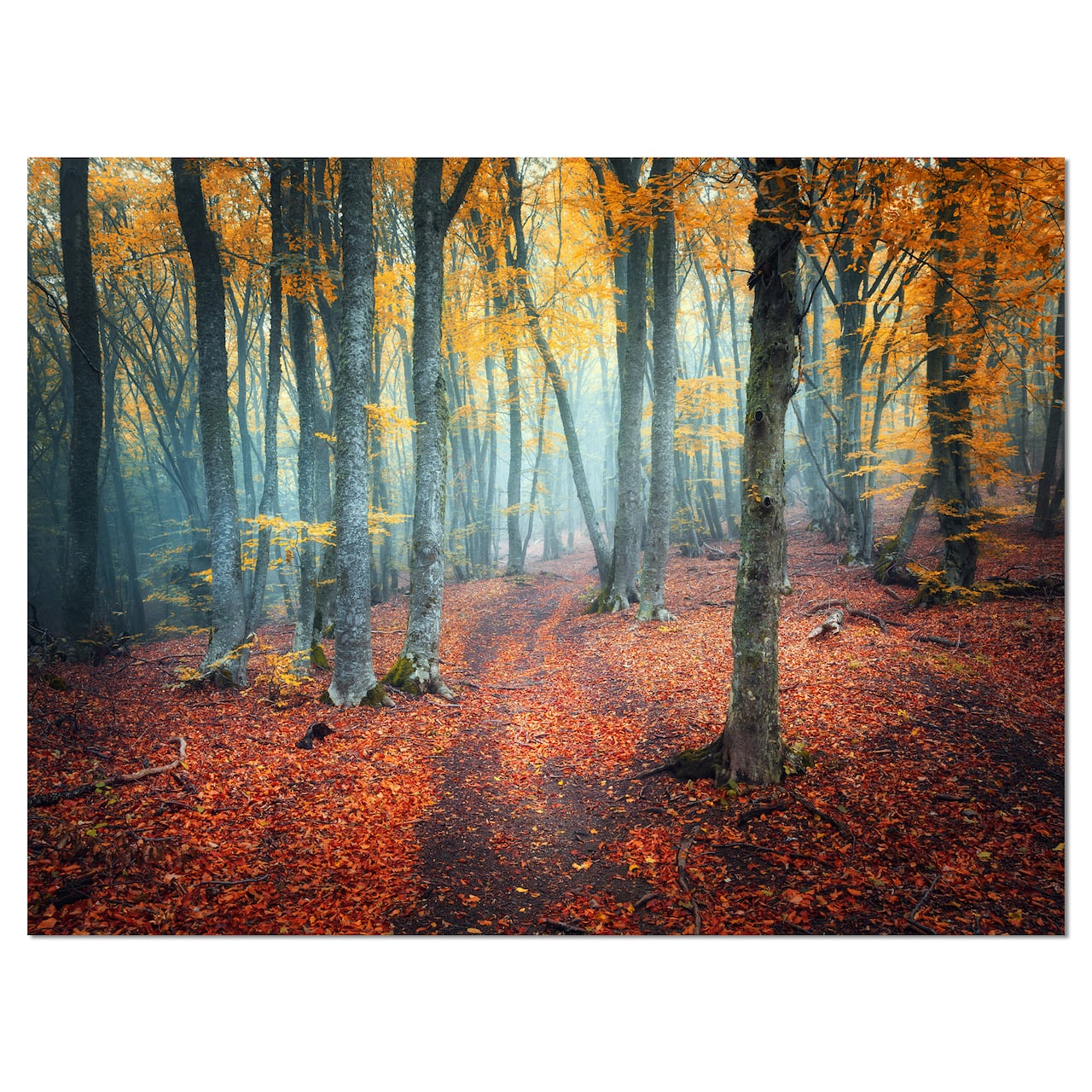 Designart - Red and Yellow Autumn Forest - Landscape Photography Canvas Print